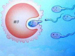 精子质量下降和有什么有关